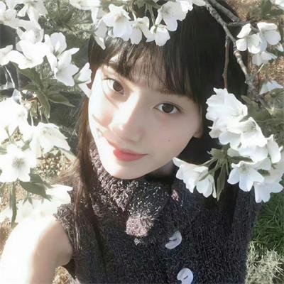 进击的沐小姐